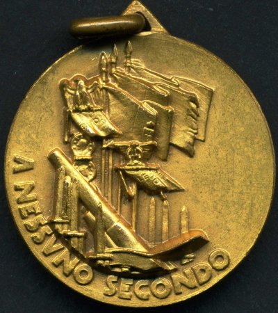 BATTAGLIA-DELLE-ALPI-medaglia-distintivo-_5.jpg