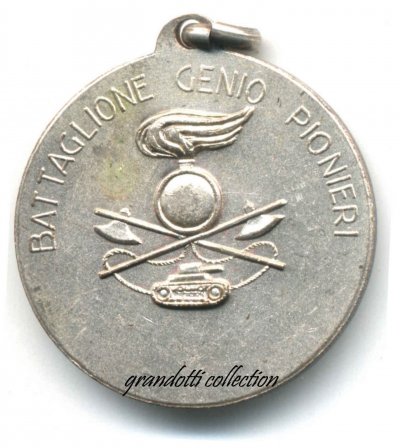 0 Ariete-Divisione-Corazzata-Medaglia-Militare-Battaglone-Genio-Pionieri-_57.jpg