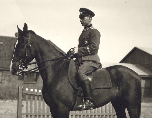 reiter2.jpg