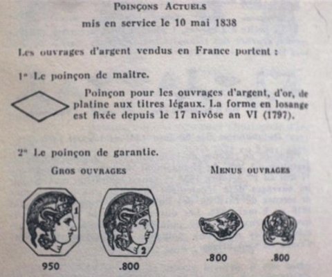 hygra (8) (Small).jpg