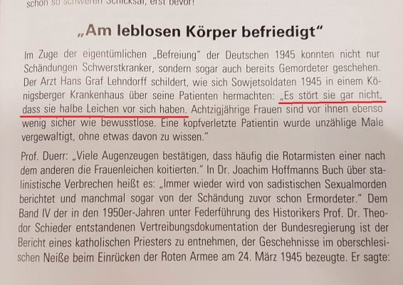 2 - Kopie.jpeg
