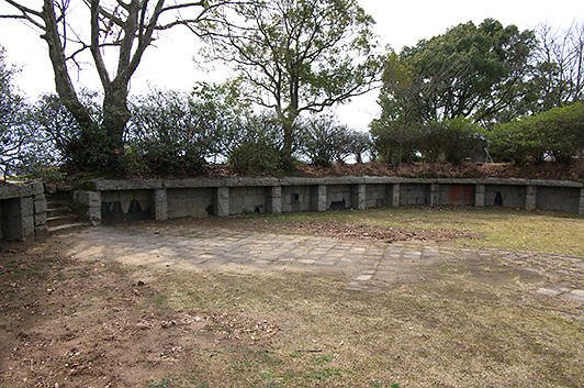 takagarasu4.jpg