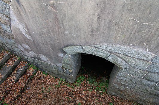 takagarasu5.jpg