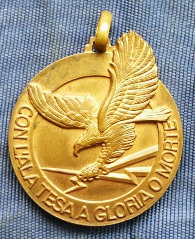 0 Medaglia-Aeronautica-Militare-36-Stormo-Caccia-Con-Lala.jpg