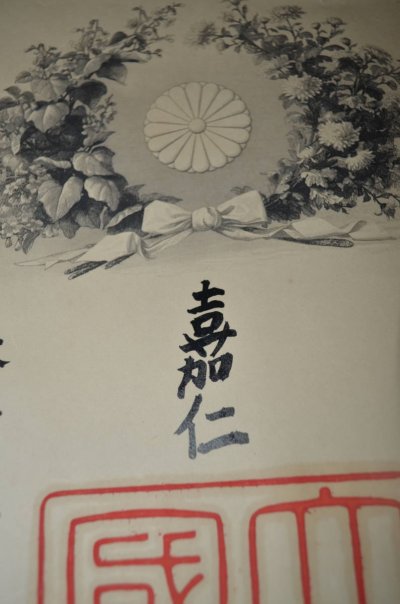 i-img795x1200-1544443334n1idq11138941.jpg