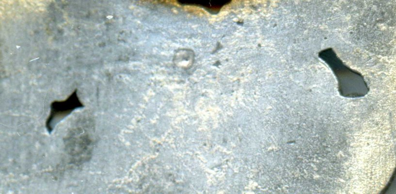 img442.jpg