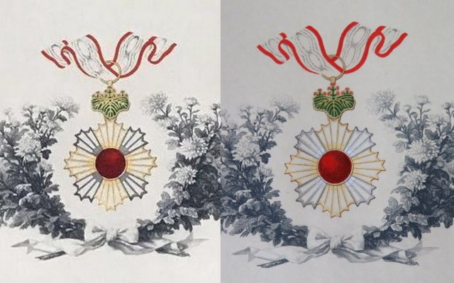 collage2.jpg
