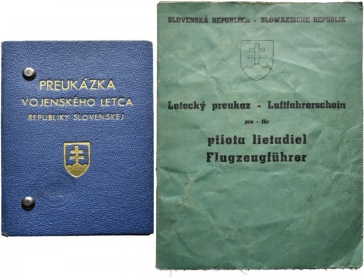 04581v00.jpg