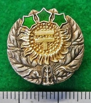 i-img299x339-1548398781qjqlpv38464.jpg