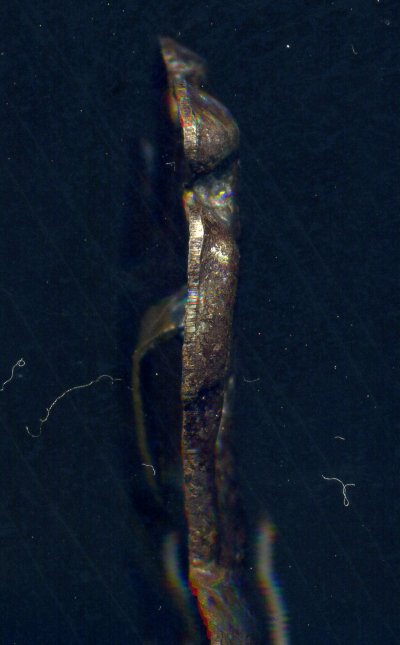img020.jpg