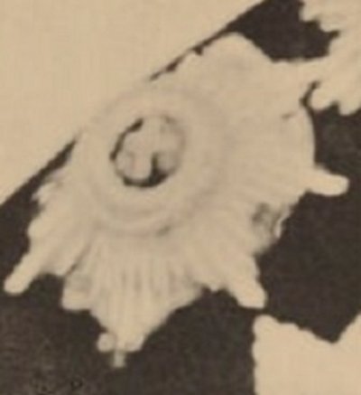 66.jpg