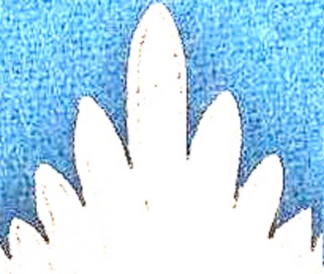 WOA_IMAGE_1.jpg
