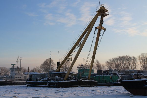 87350.jpg