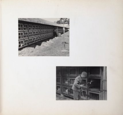 0607000032-l.jpg