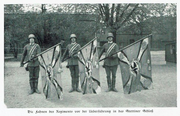 page1-800px-Regimentsfahnen_IR_176.pdf.jpg