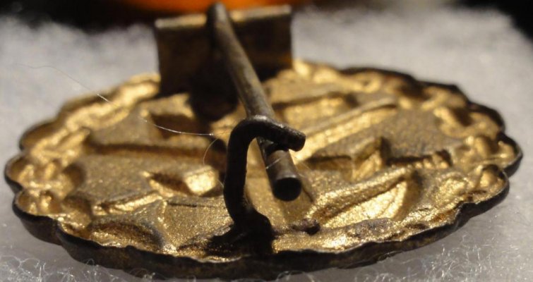 VWIM-AssmannGold-Hook.jpg