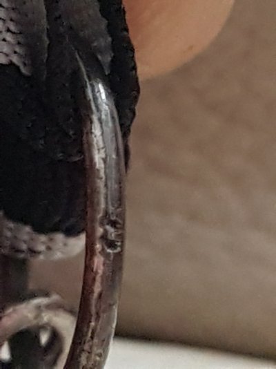20190616_101208.jpg