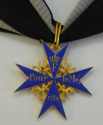 PLM-Lud1.jpg