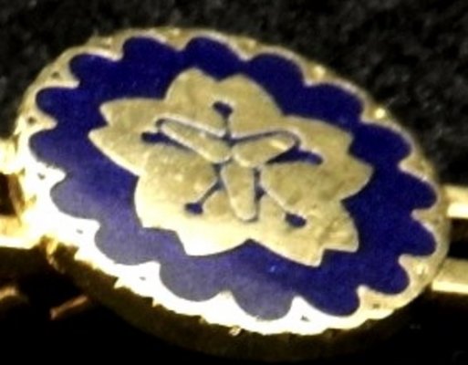 DSCN9664.jpg