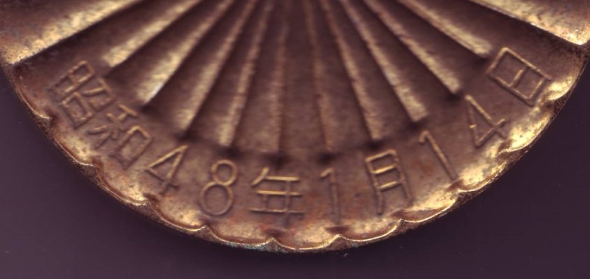96176d4530.jpg