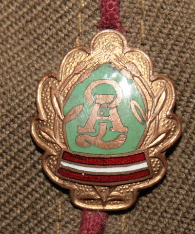 azs  IMG_2772.jpg