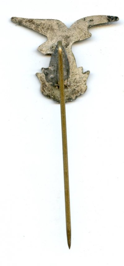img476.jpg