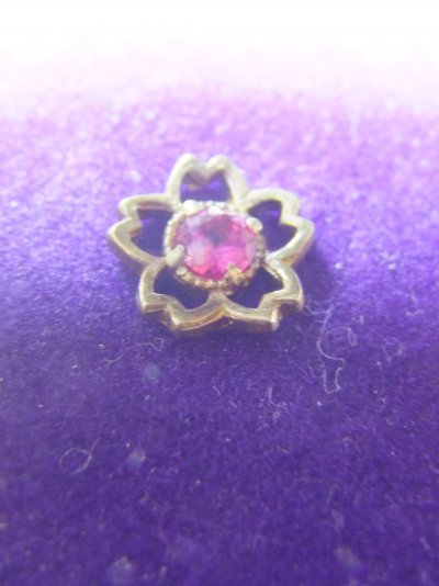 DSCF5033.JPG