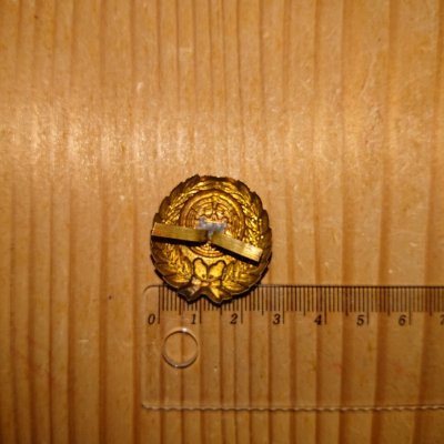 i-img1200x1200-15711454011s3tzc405461.jpg