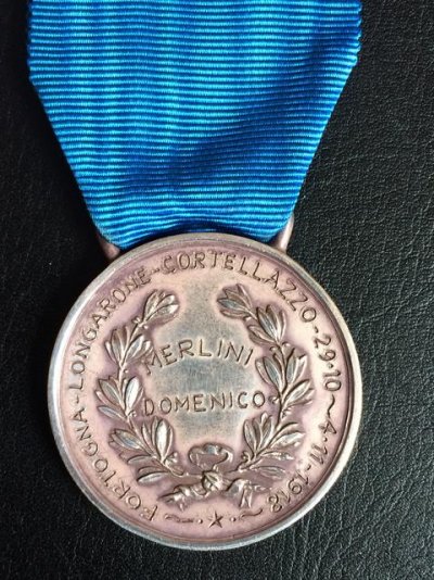 MERLINI-Domenico-MAVM.jpg