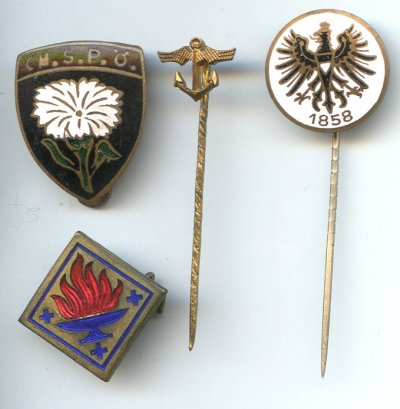 img937.jpg