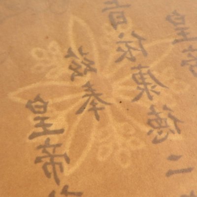 i-img1200x1200-1577370113dcagi5364710.jpg