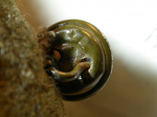 DSCN7930.JPG