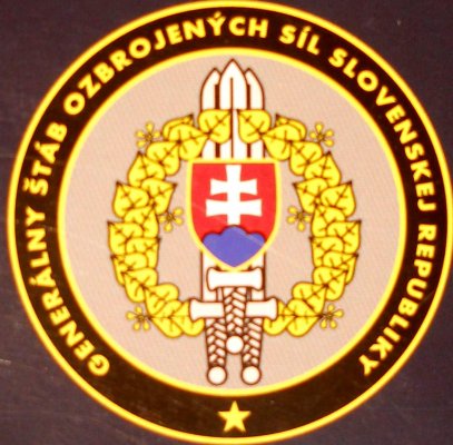 Slovakia_army_P899.jpg