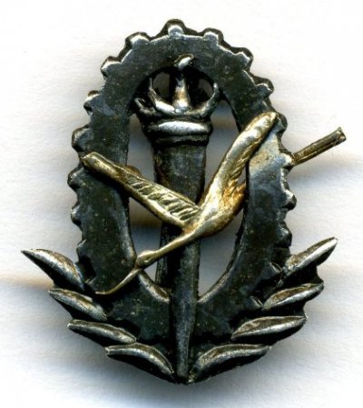 img334pc4.jpg