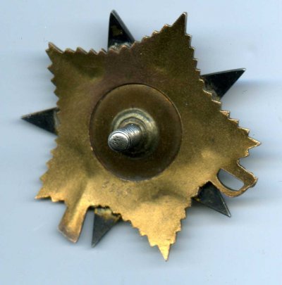 img877.jpg
