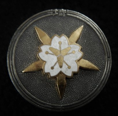 DSCN9591.JPG