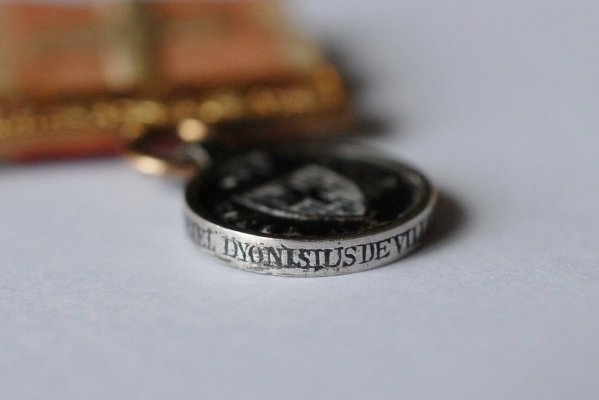 schwe3.jpg