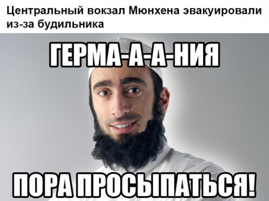 8405416.jpg