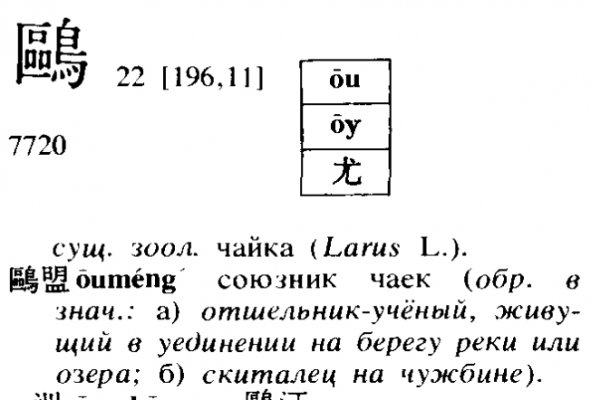 чайка.jpg