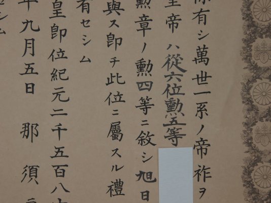 i-img1200x900-15982602664cfgc7119.jpg