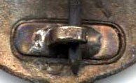 Sth-Tip1-kruk.jpg