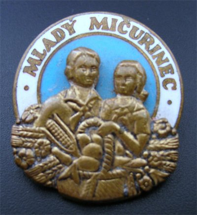 мм1.jpg
