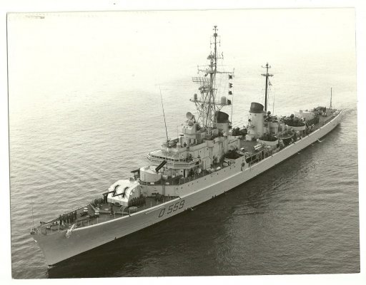 D 559.jpg