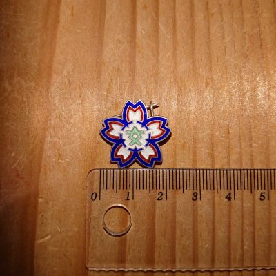 i-img1200x1200-1601464771dfsq3v880838.jpg