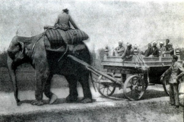 Части самолетов и моторы достовляют в Кабул на слонах и руках.Осень,1921г..jpg