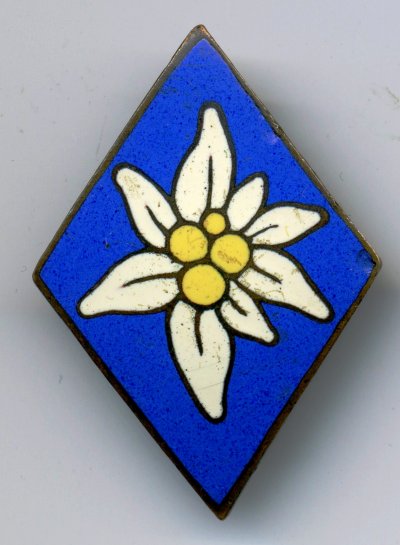 img061.jpg