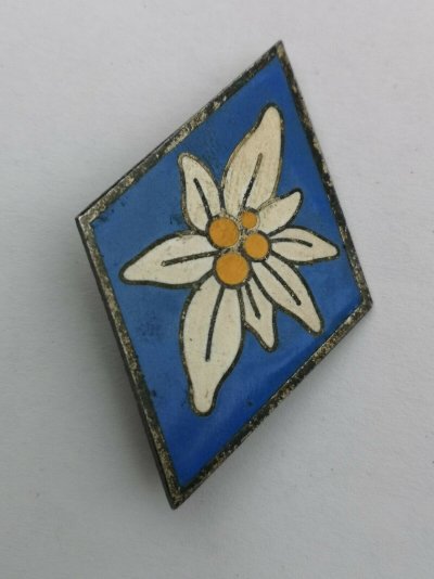 Freikorps-Oberland-Bewährungs-Abzeichen-Bayern-Oberschlesien.jpg