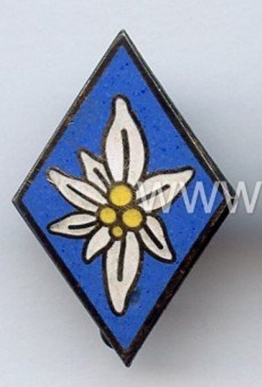 K374033.jpg