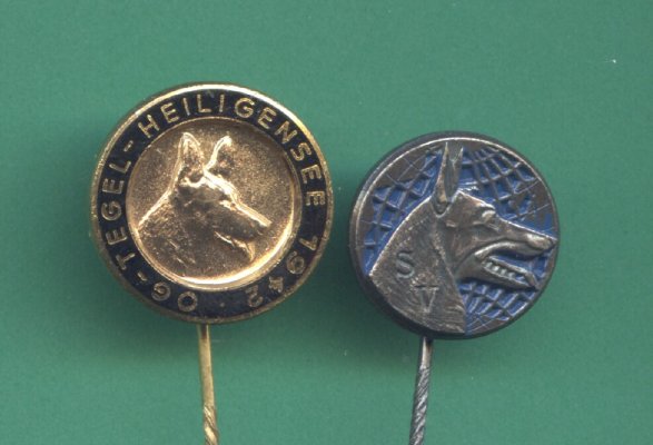 2021-06-21-0007.jpg