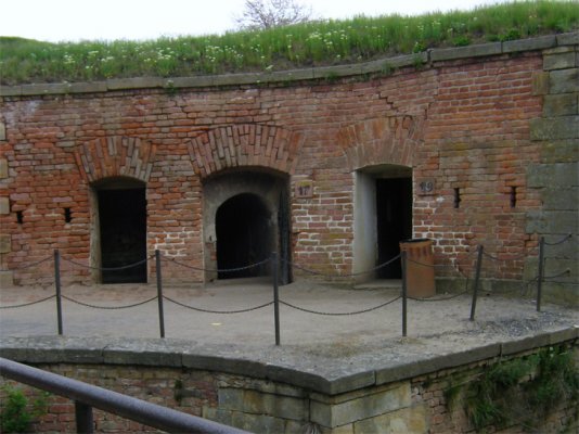1718.jpg